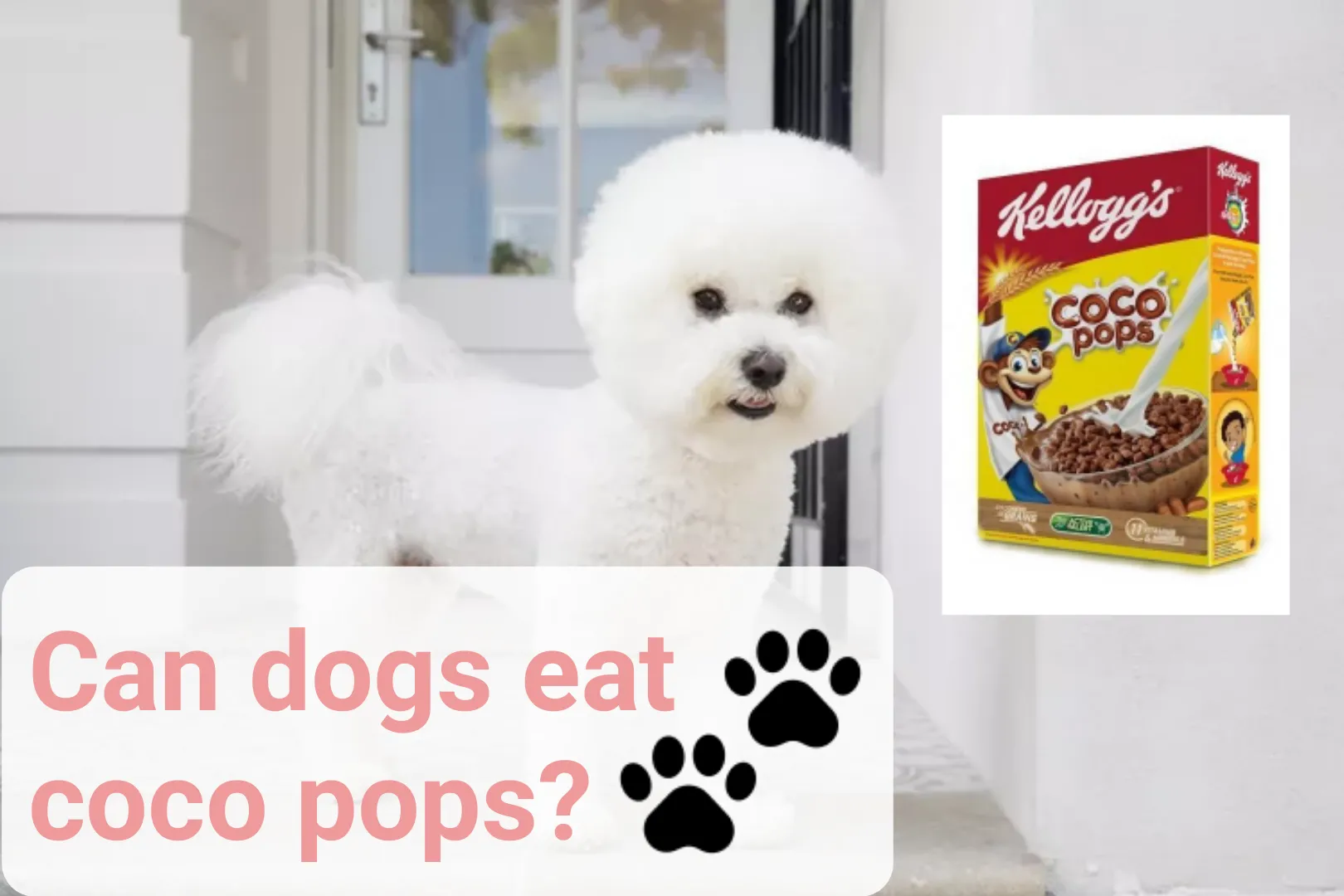 Can Dogs Eat Coco Pops?