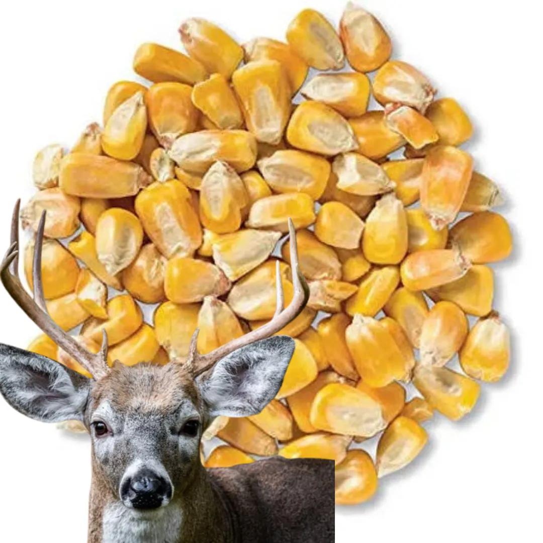 Can Dogs Eat Deer Corn?
