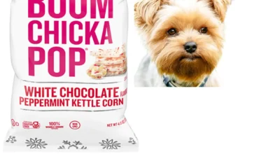 Can Dogs Eat Boom Chicka Pop?