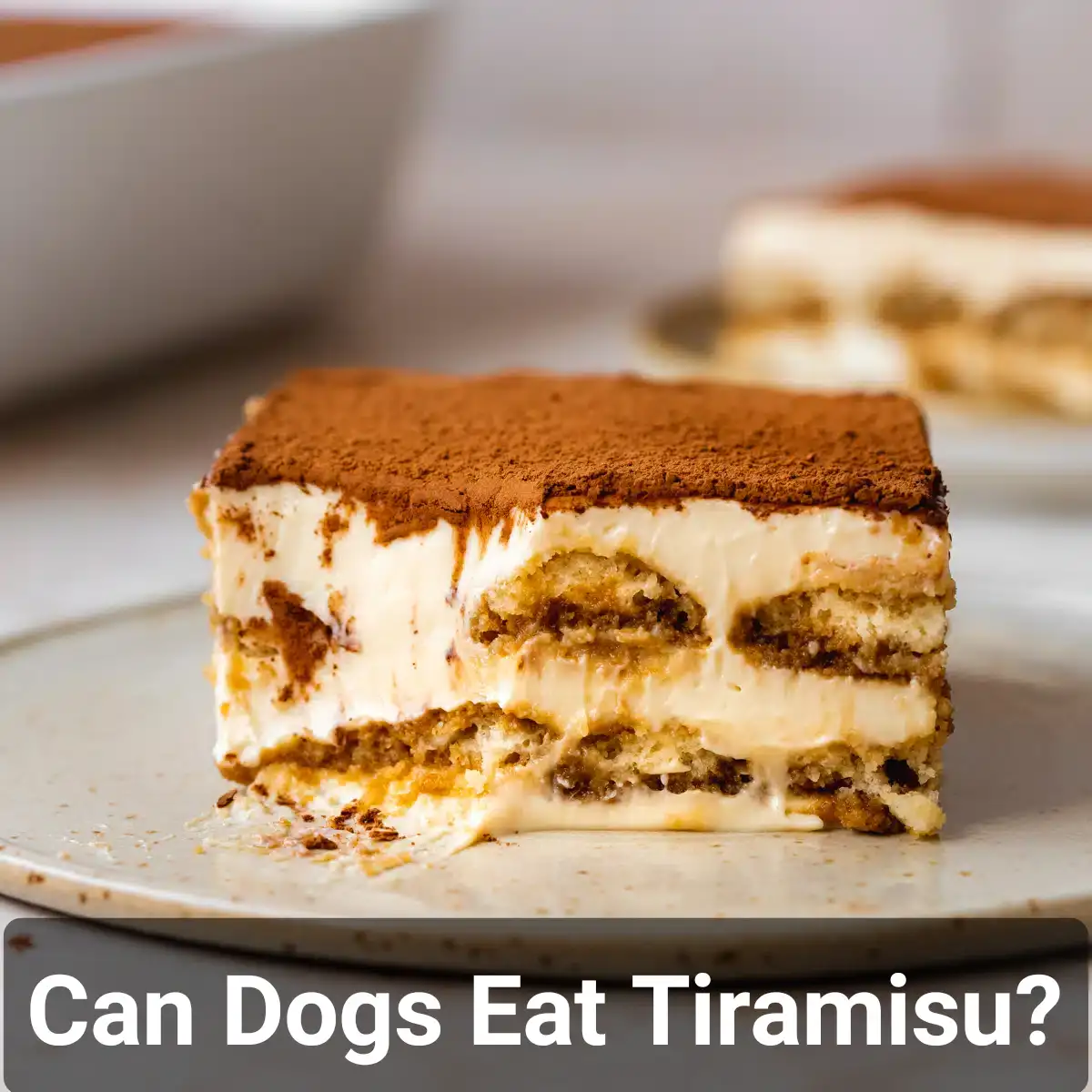 Can Dogs Eat Tiramisu?