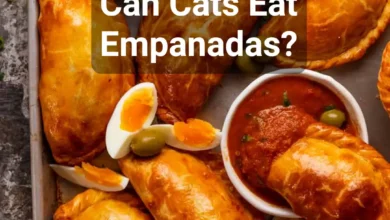 Can Cats Eat Empanadas?