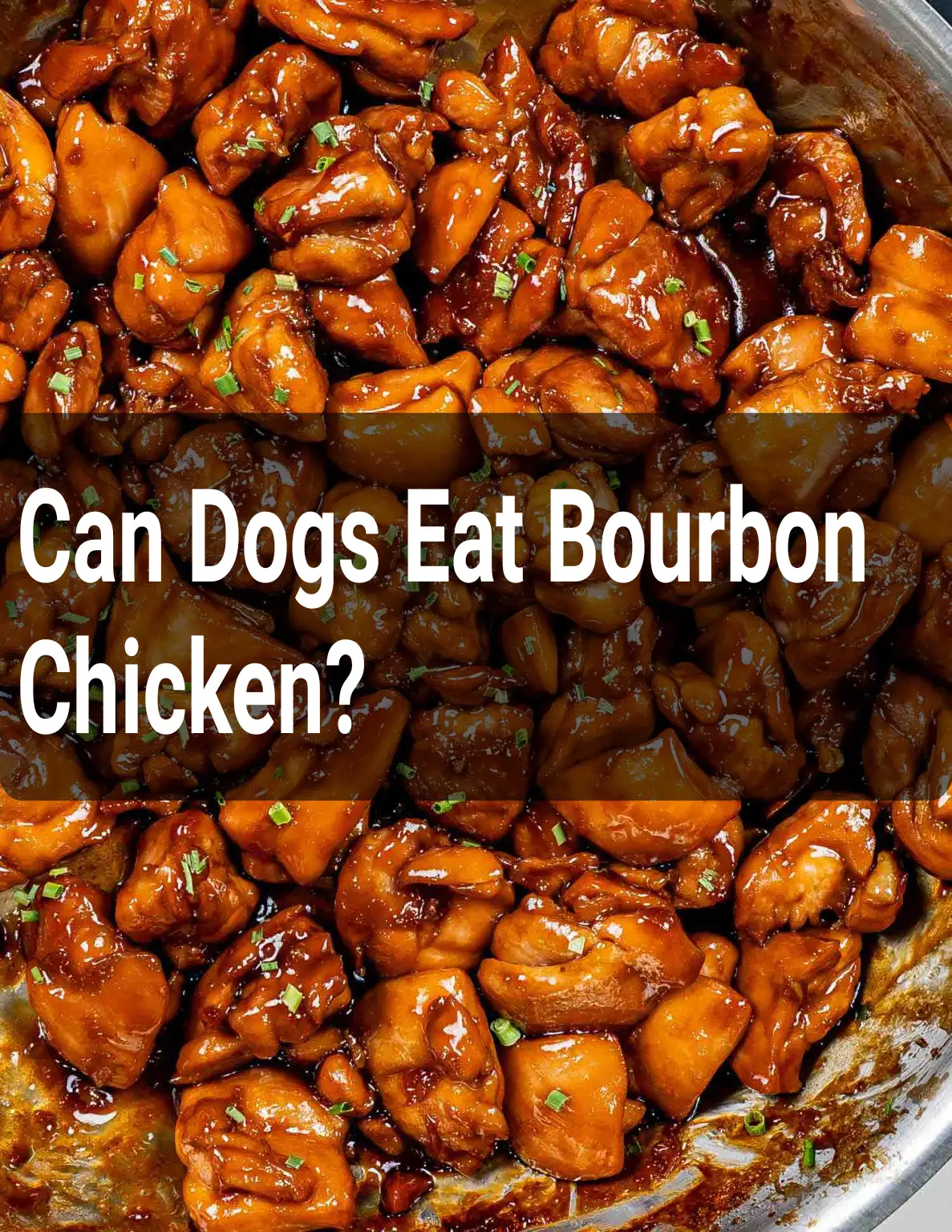 Can Dogs Eat Bourbon Chicken?
