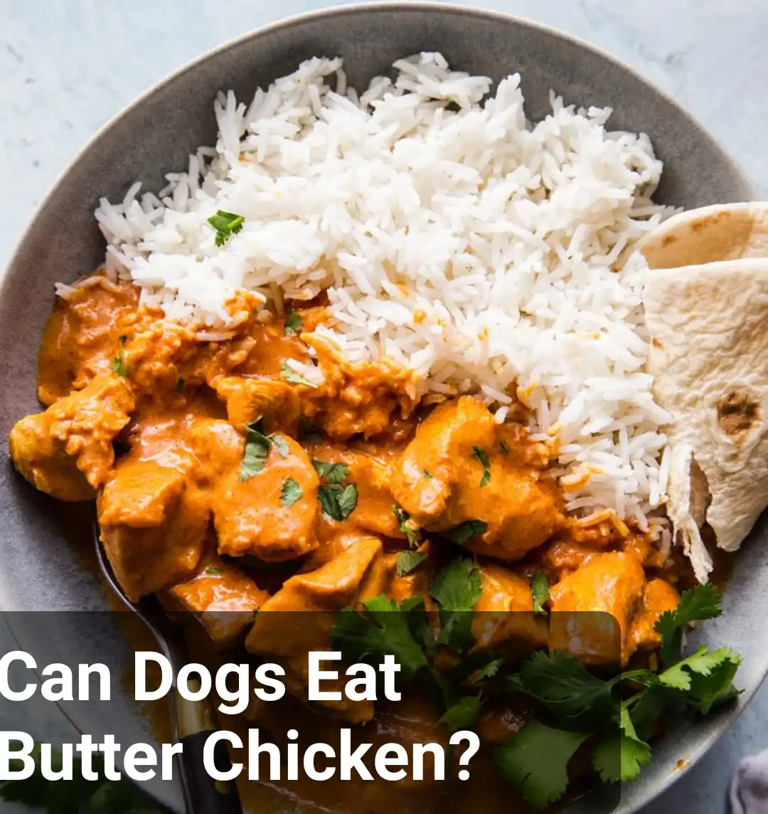 Can Dogs Eat Butter Chicken?