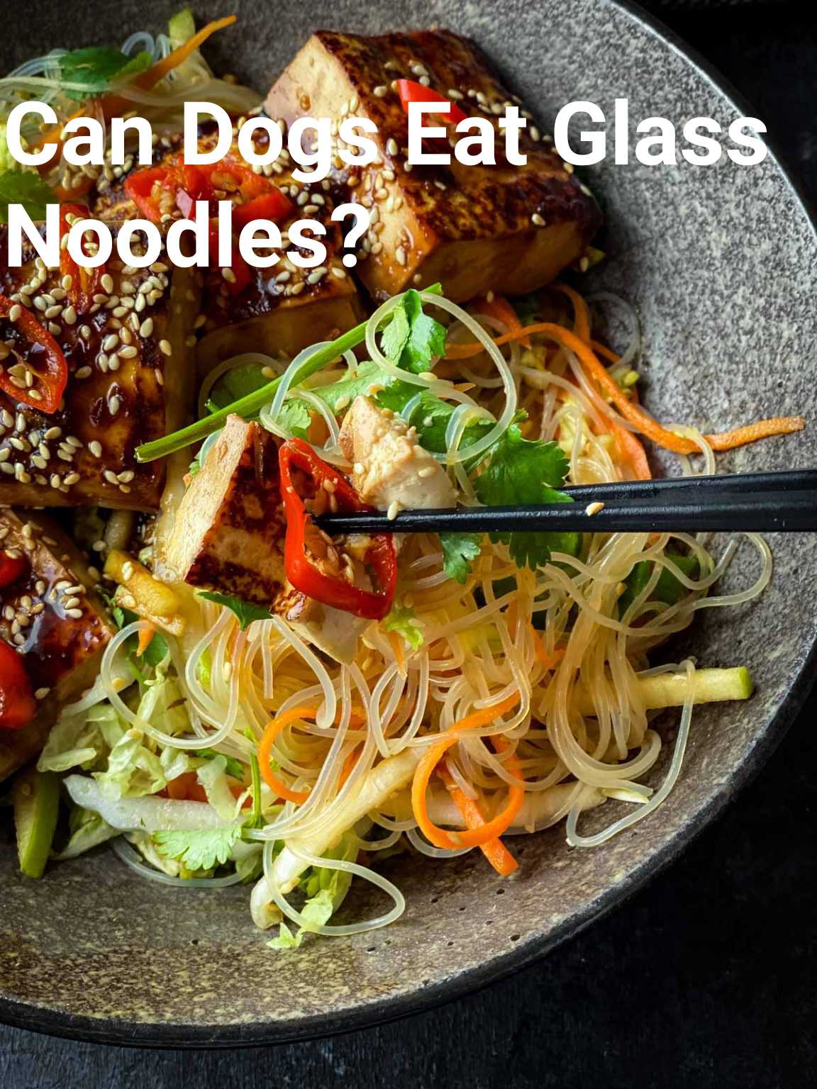 Can Dogs Eat Glass Noodles?
