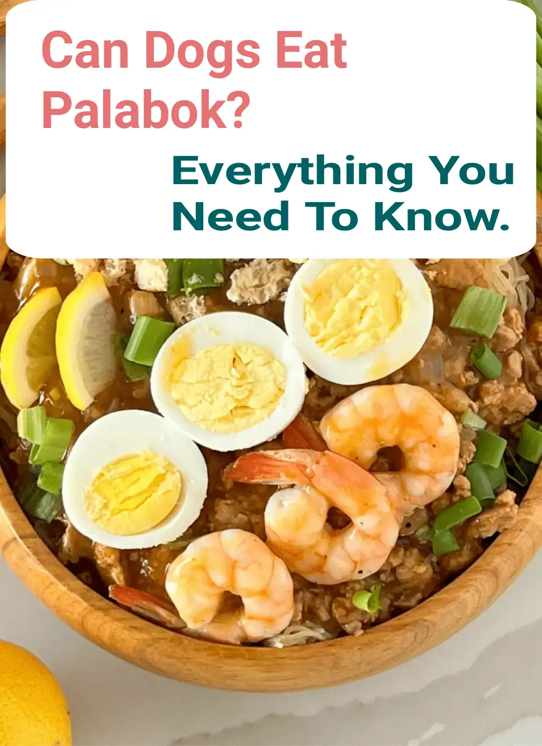 Can Dogs Eat Palabok?