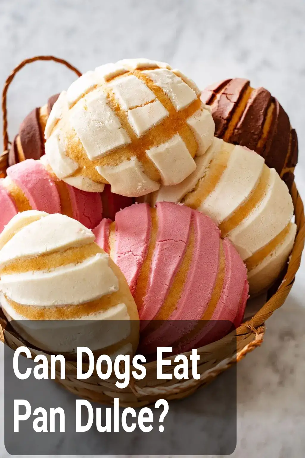 Can Dogs Eat Pan Dulce?