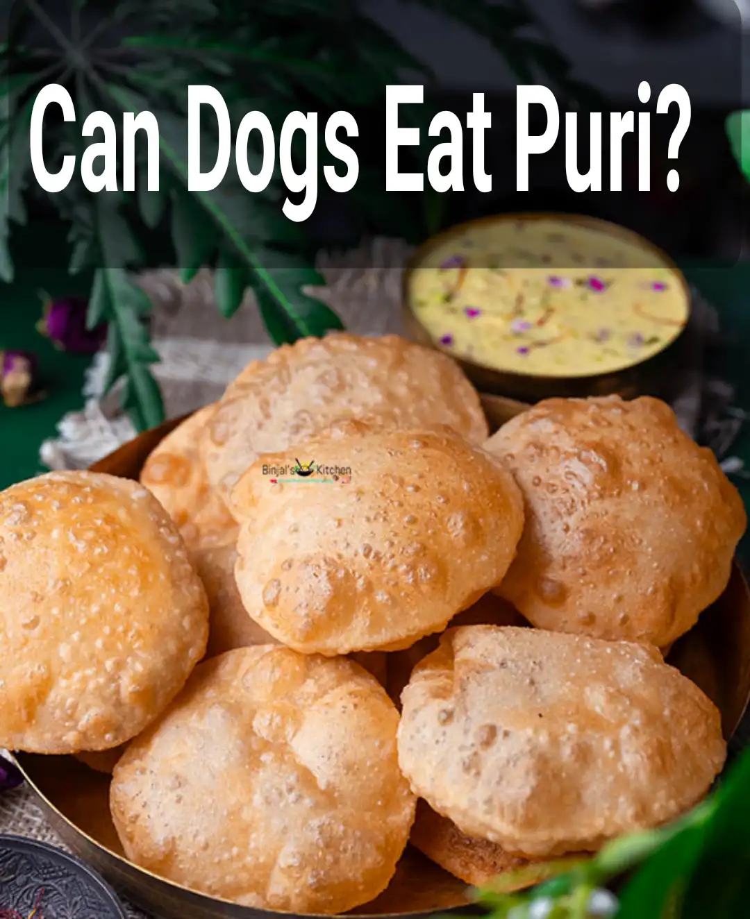 Can Dogs Eat Puri?