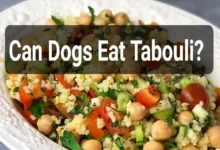 Can Dogs Eat Tabouli?