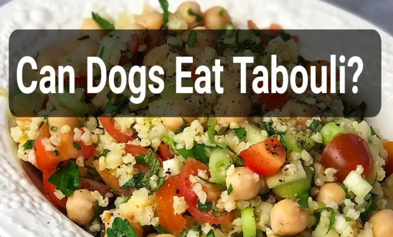 Can Dogs Eat Tabouli?