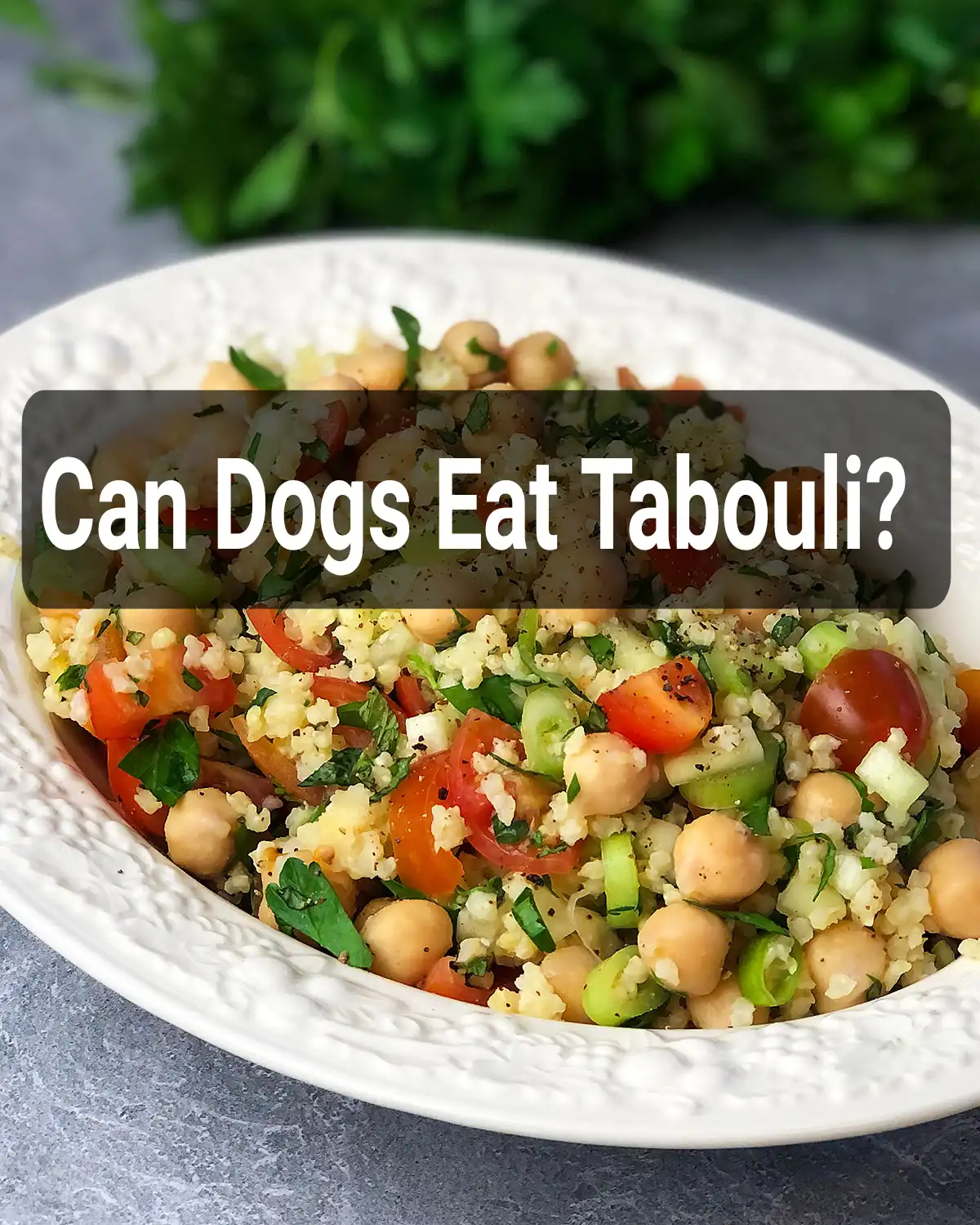 Can Dogs Eat Tabouli?