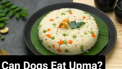 Can Dogs Eat Upma?