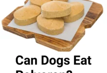 Can dogs eat polvoron?
