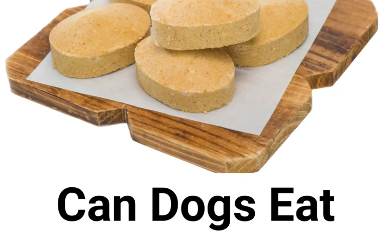 Can dogs eat polvoron?