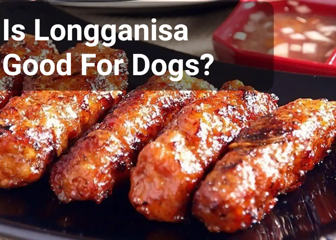 Is Longganisa Good For Dogs?