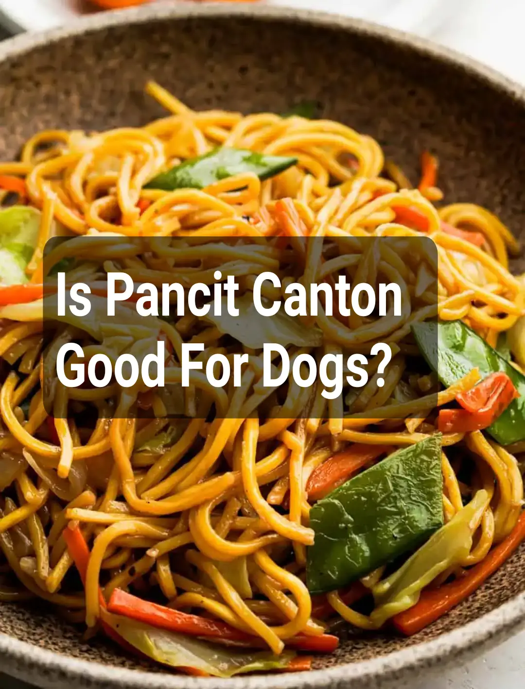Is Pancit Canton Good For Dogs?