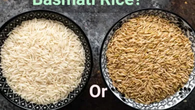 Can Cats Eat Basmati Rice?