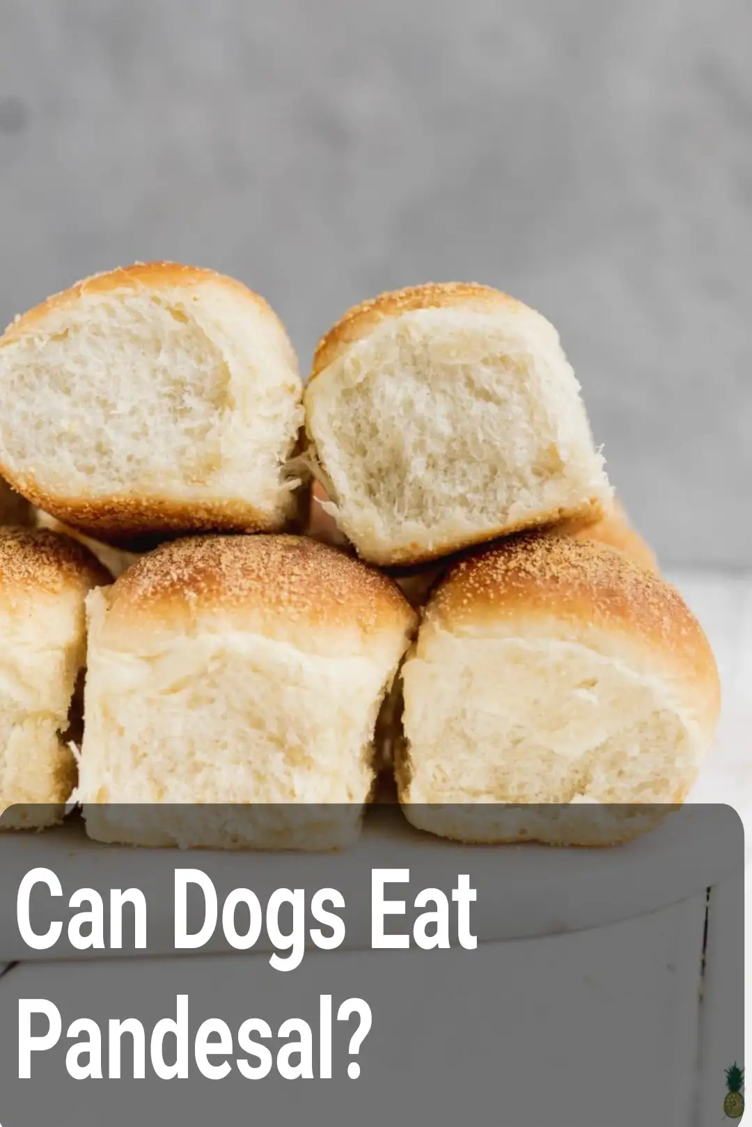 Can Dogs Eat Pandesal?